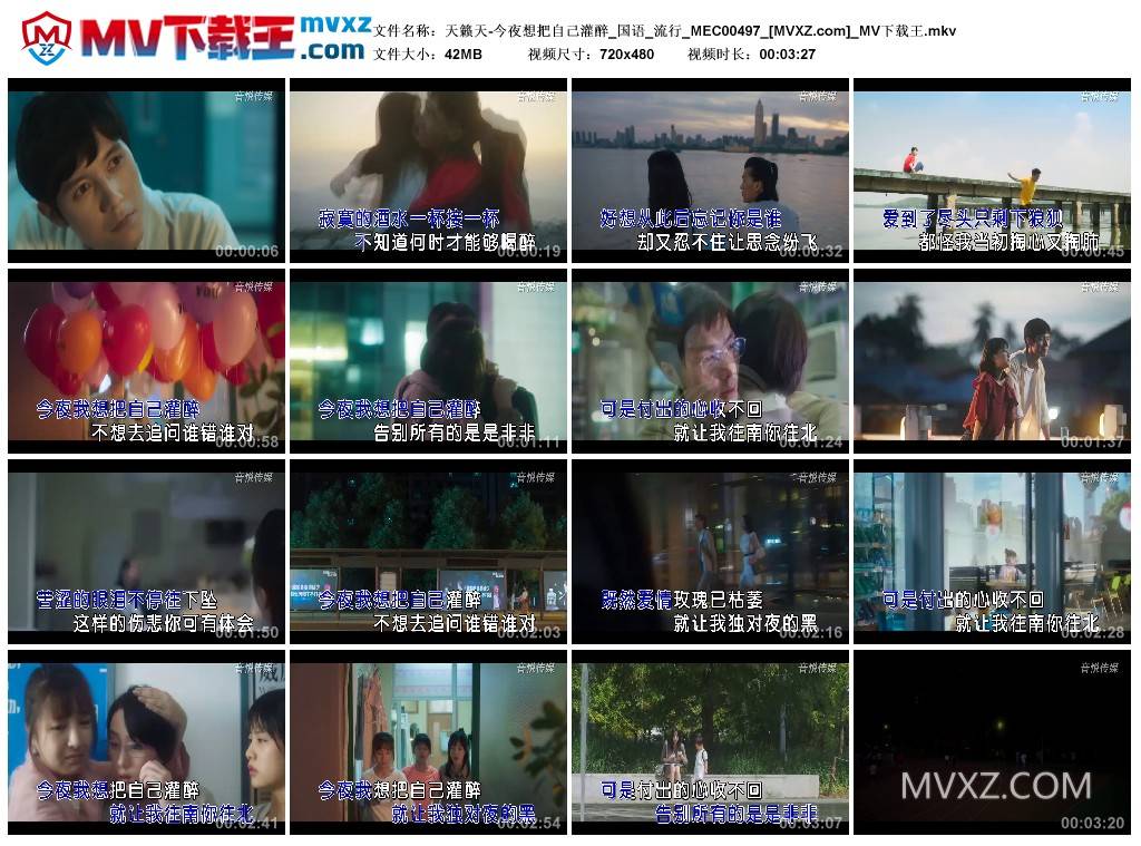 天籁天-今夜想把自己灌醉_国语_流行_MEC00497